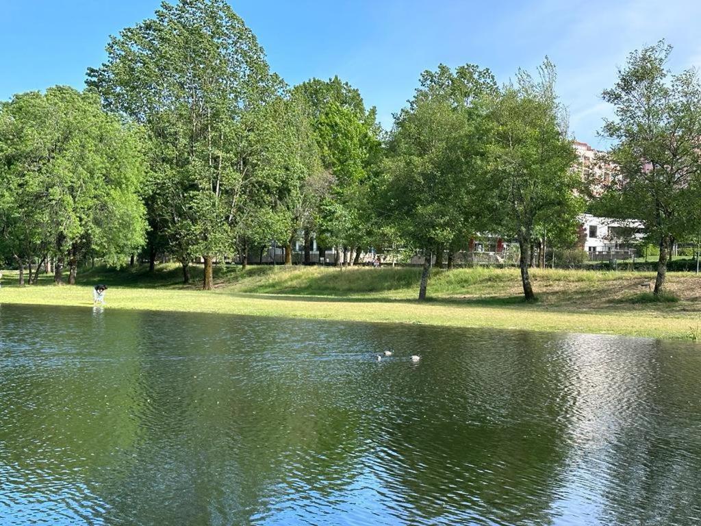 פונטה דה בארקה Placido River House Apartamento מראה חיצוני תמונה